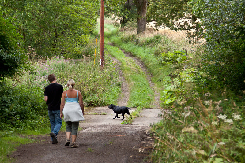 Country Lane